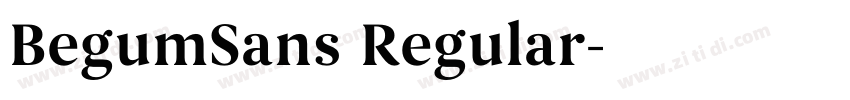 BegumSans Regular字体转换